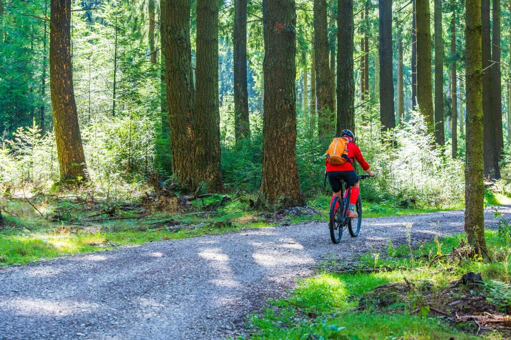 Ciclista pedalando por um caminho de terra cercado de arvores altas