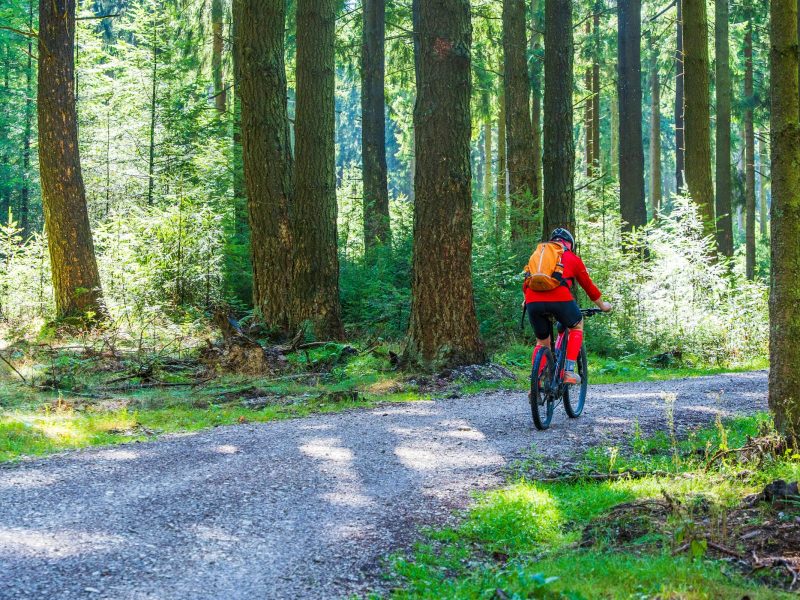 Ciclista pedalando por um caminho de terra cercado de arvores altas