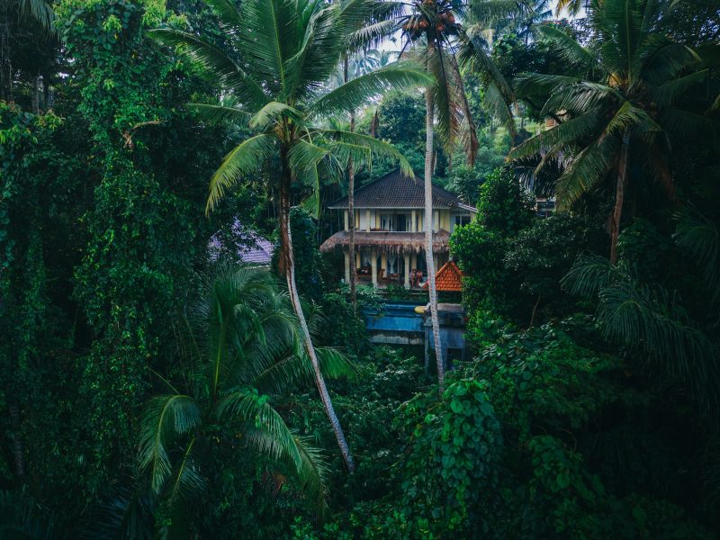 Villa Duna — foto 5