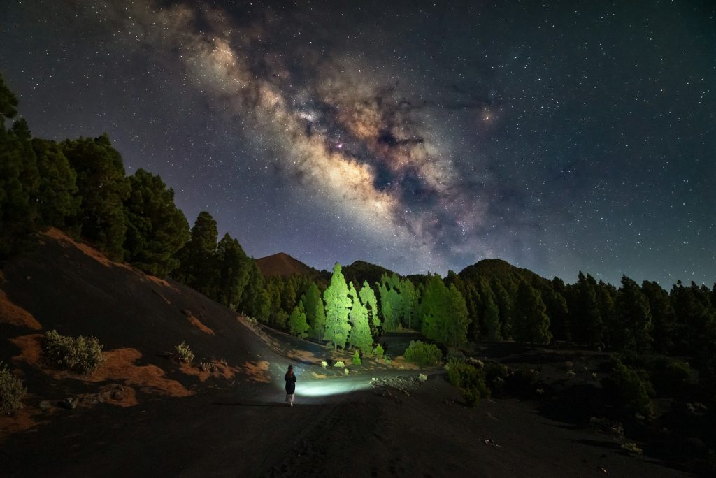 Via lactea riscando o ceu noturno acima das silhuetas da floresta
