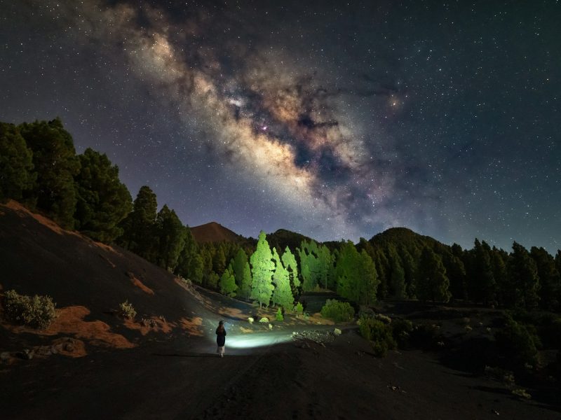 Via lactea riscando o ceu noturno acima das silhuetas da floresta