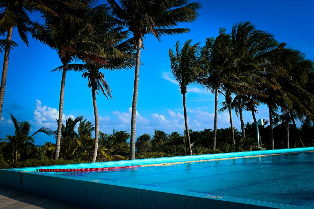 Piscina de águas azuis cercada por palmeiras em dia ensolarado