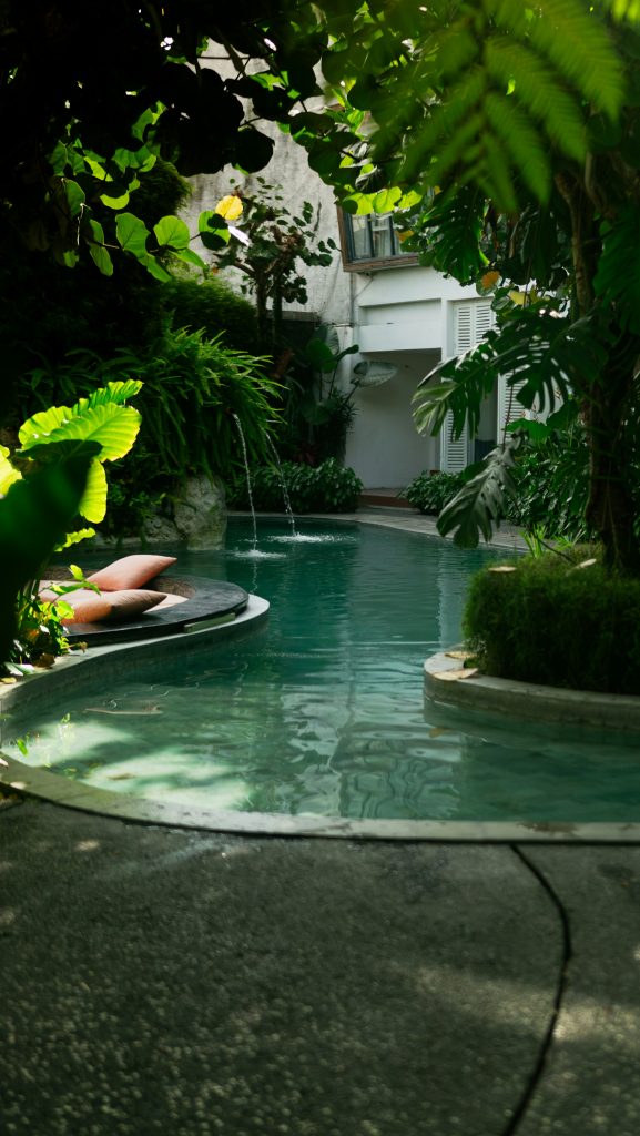 Piscina tranquila cercada por vegetação densa e lâminas de água correndo pela parede de pedra