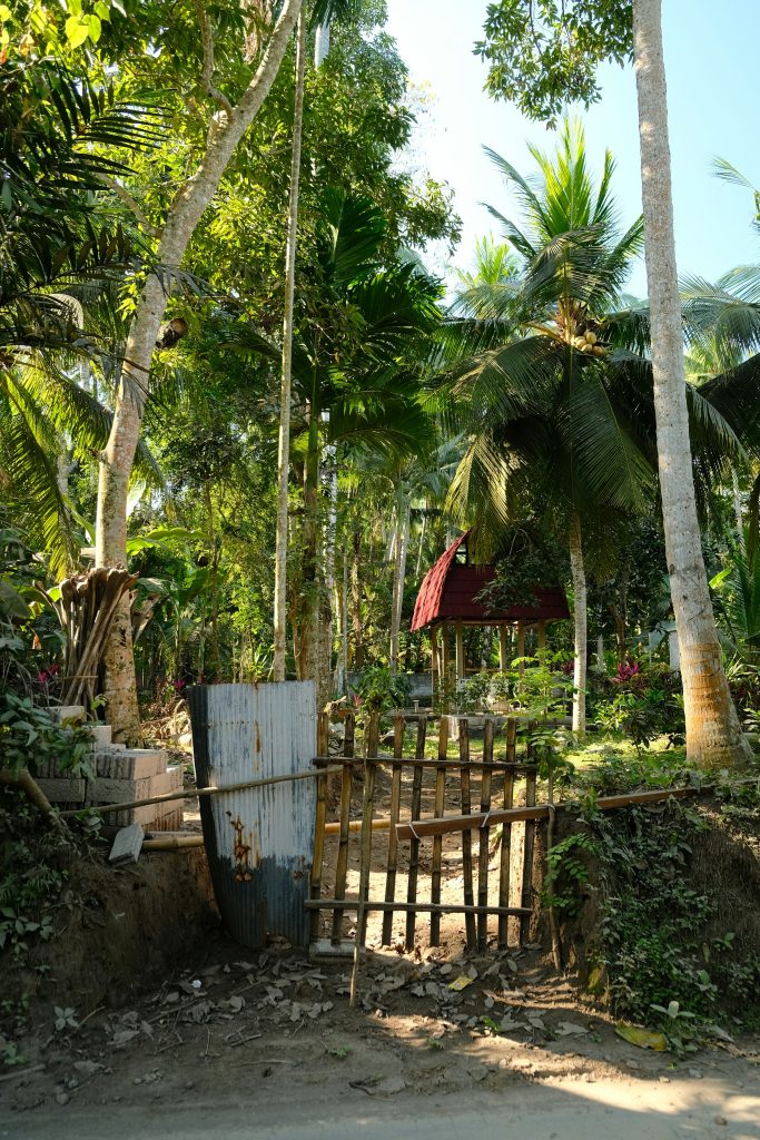 Portão de bambu aberto para um jardim tropical de folhagens densas